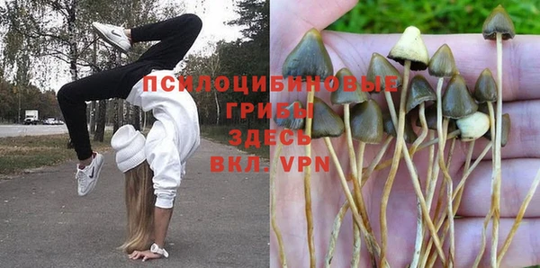прущая мука Алзамай